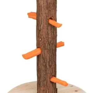 Karmnik stojący Trixie TX-61199 25 × 36 cm Swinki morskie kruliki 2
