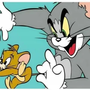 Haft Diamentowy 5D Malowanie Diamentami 30x40cm tom i jerry