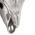 vidaXL Wisząca Czaszka byka Srebrny 49 x 10 x 36 cm Aluminium 6