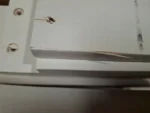 Zestaw mebli ogrodowych drewno Vida biały leżak + stolik 10